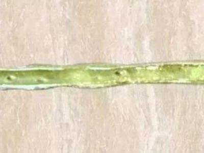 美縫劑冬天施工發(fā)脆？不說你不知道。