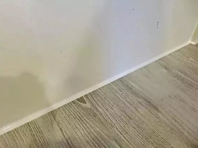 玻璃膠、美容膠哪個更好？