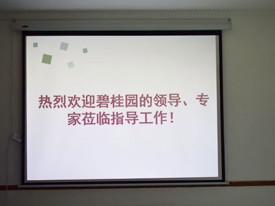 碧桂園領導、專家蒞臨德國CUALI磚麗指導工作！