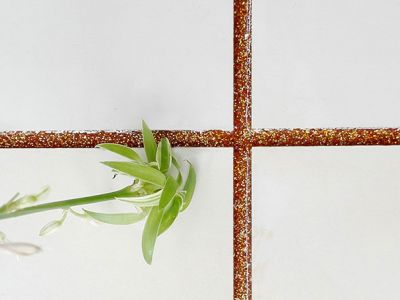 真瓷膠怎么區(qū)別優(yōu)質(zhì)和劣質(zhì)？